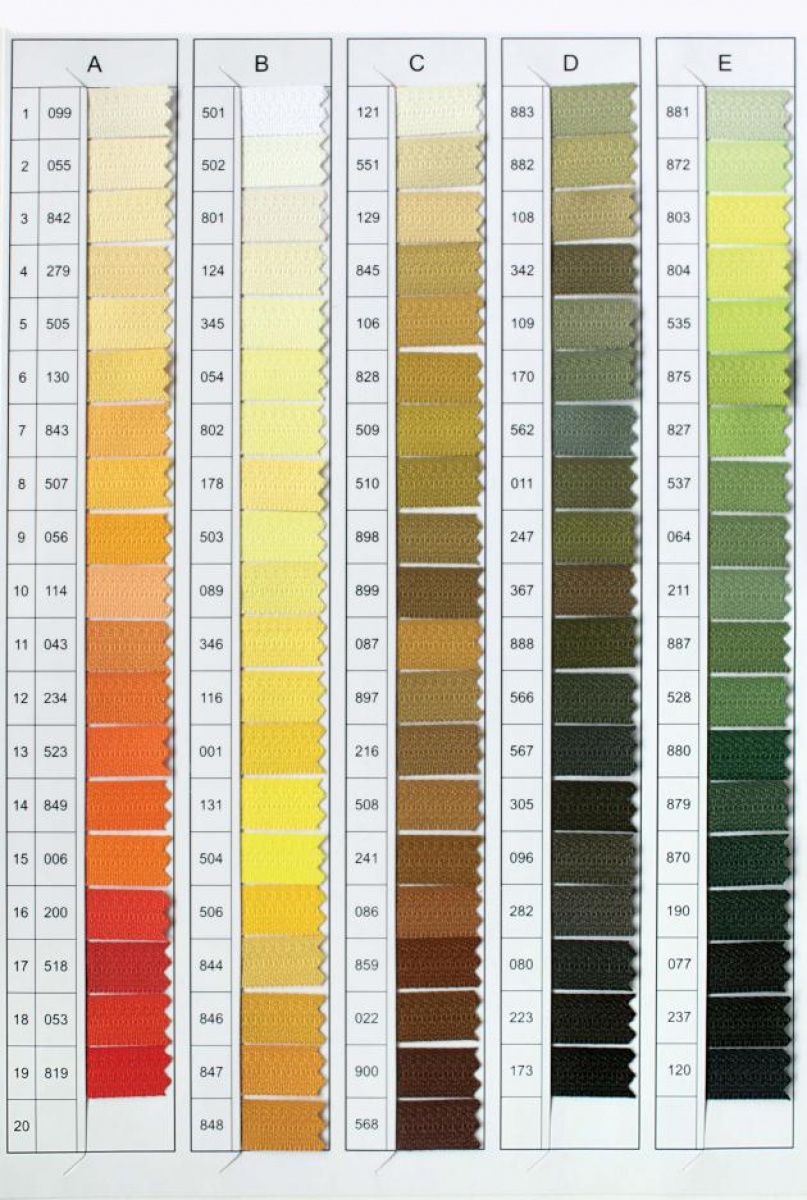 color card 3